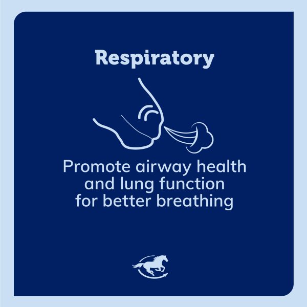 Ss Respiratory V3 Gallery Images Pdp Amazon 2000x2000