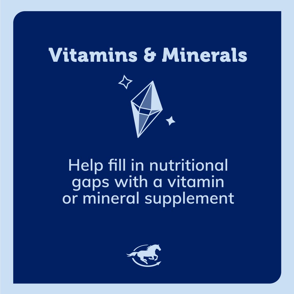 Ss Vitaminsminerals Gallery Images Pdp Amazon 2000x2000