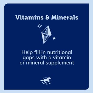 Ss Vitaminsminerals Gallery Images Pdp Amazon 2000x2000