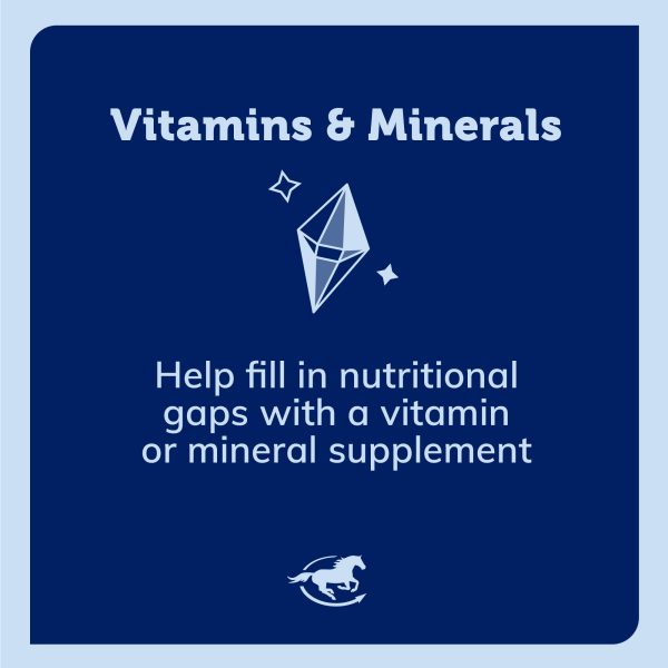 Ss Vitaminsminerals Gallery Images Pdp Amazon 2000x2000