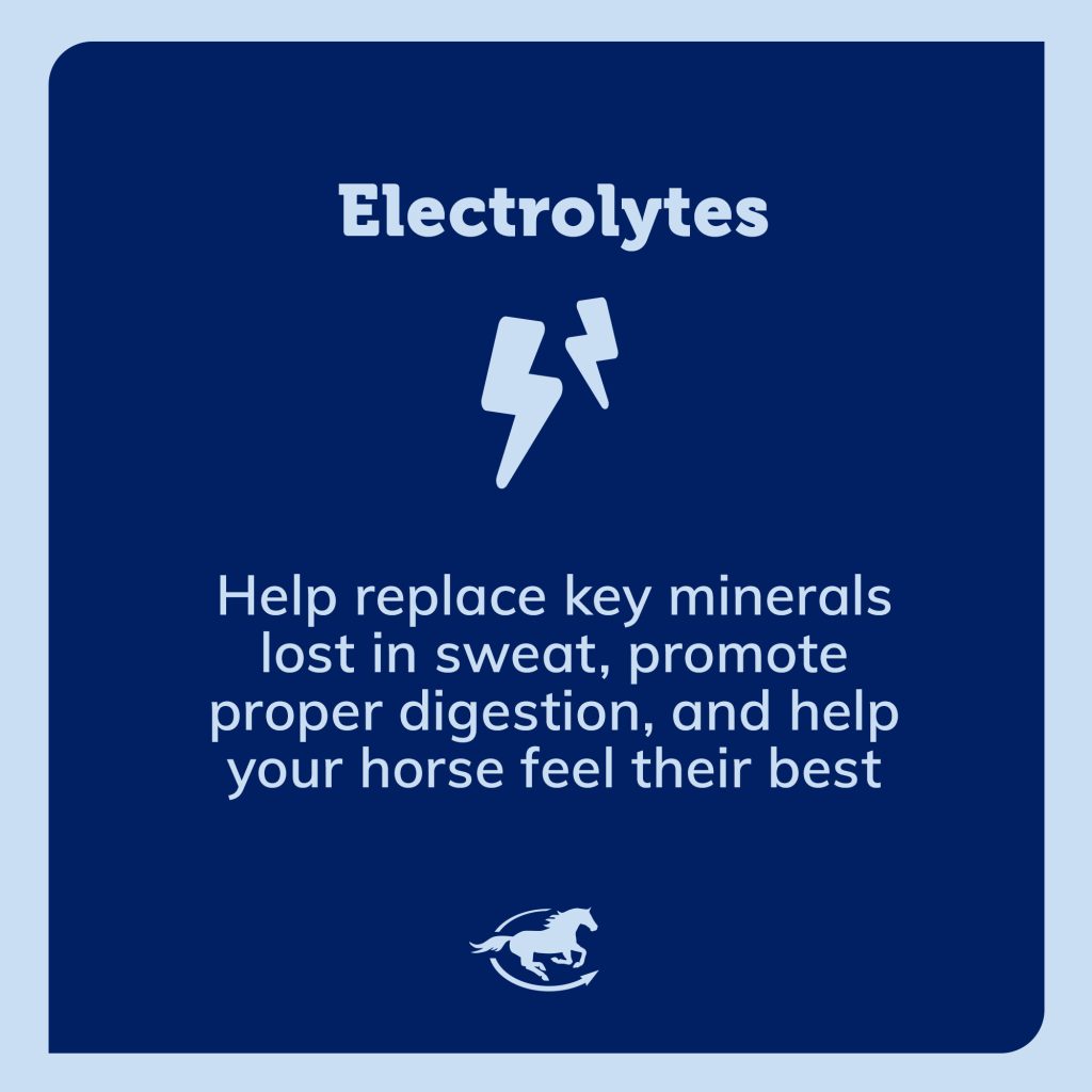 Ss Electrolytes Gallery Images Pdp Amazon