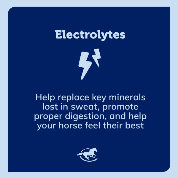 Ss Electrolytes Gallery Images Pdp Amazon