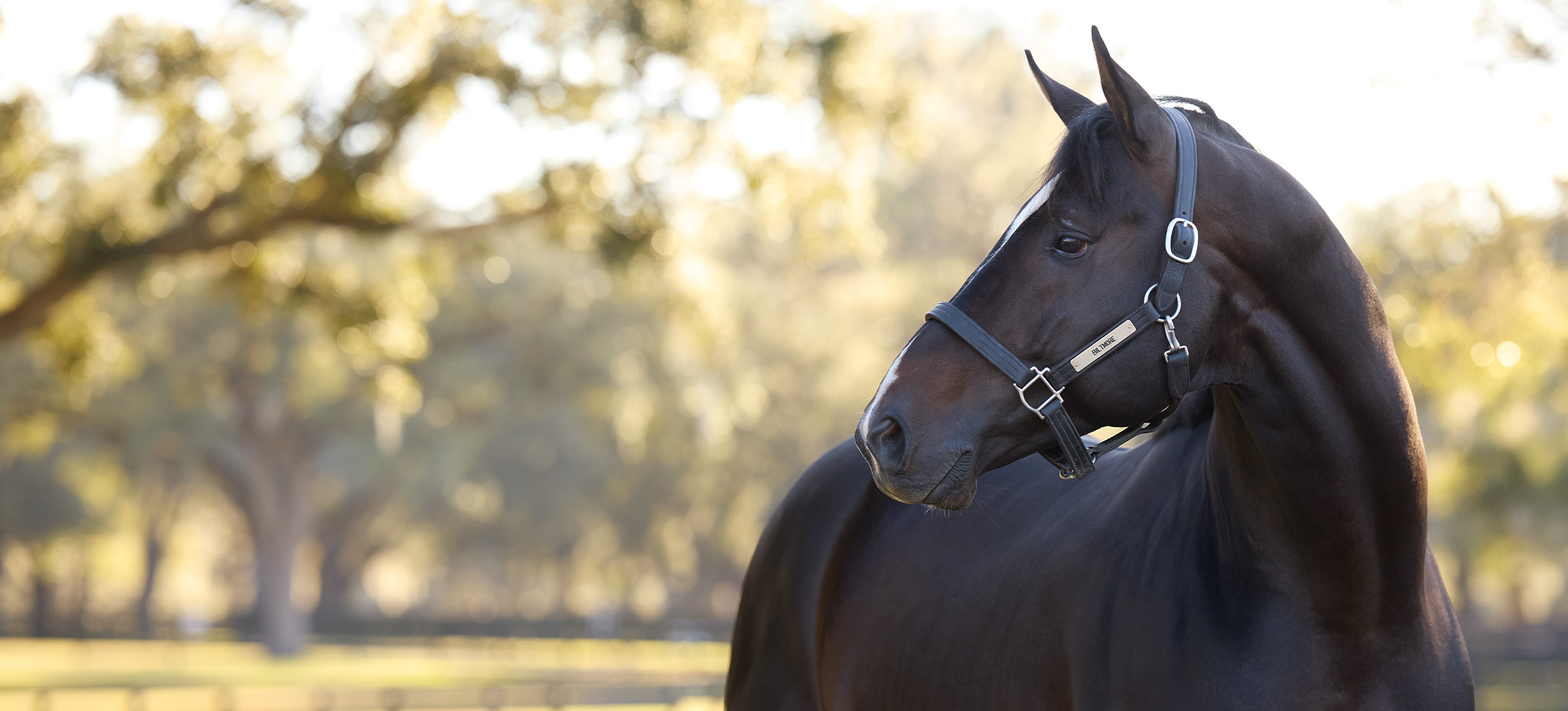 062725 Landingpagehero Jb 2050x930