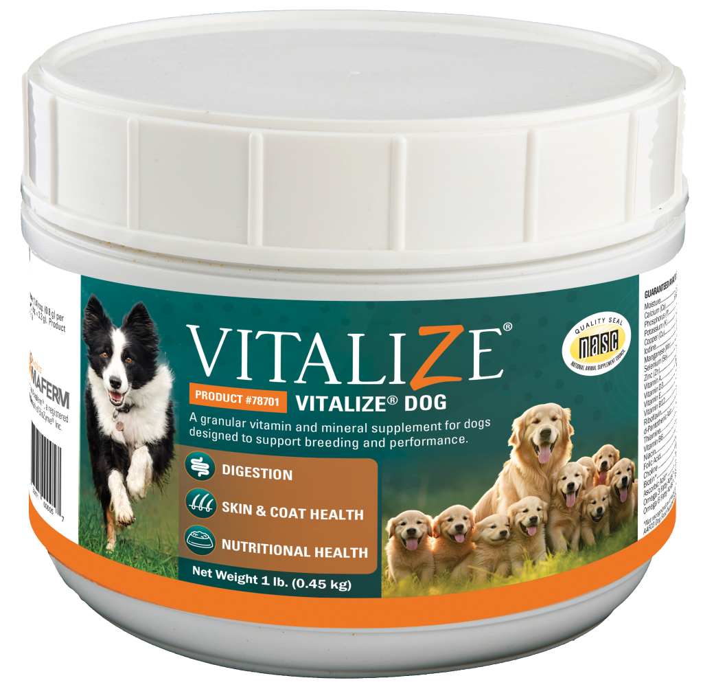 Vitalizedog1lb