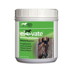 Elevatemaintenancepowder2lb