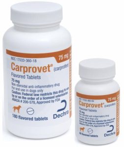 Carprovetctab7560