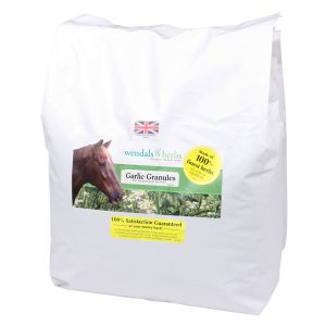 Garlicgranules11lb