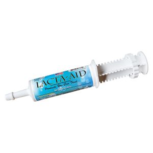 Lactaaidpaste