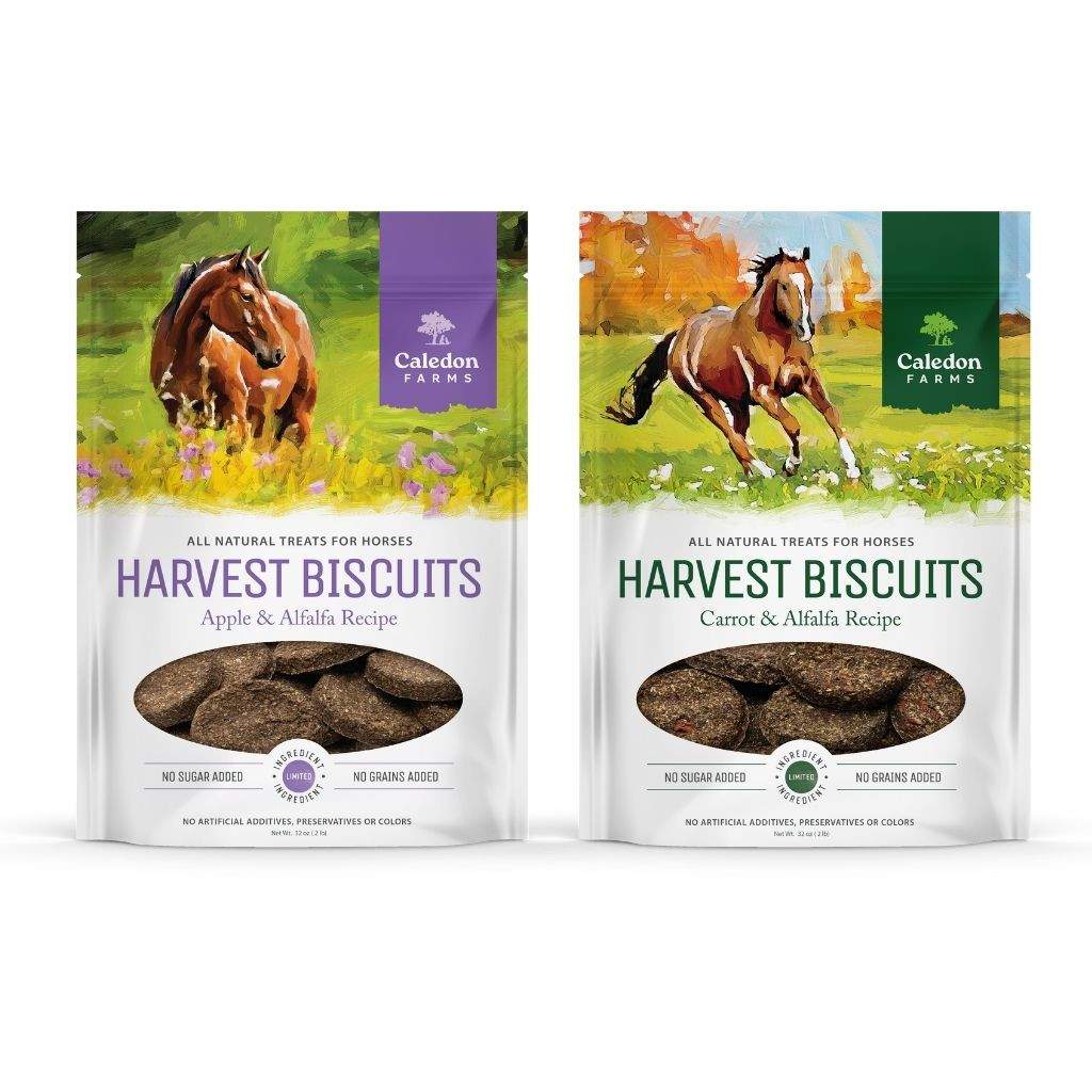 Harvest Biscuits