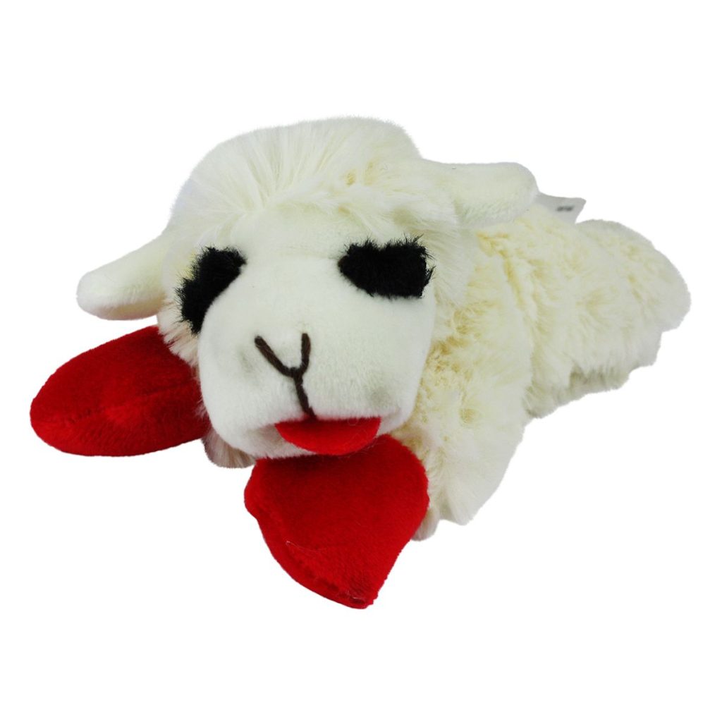Lambchop6