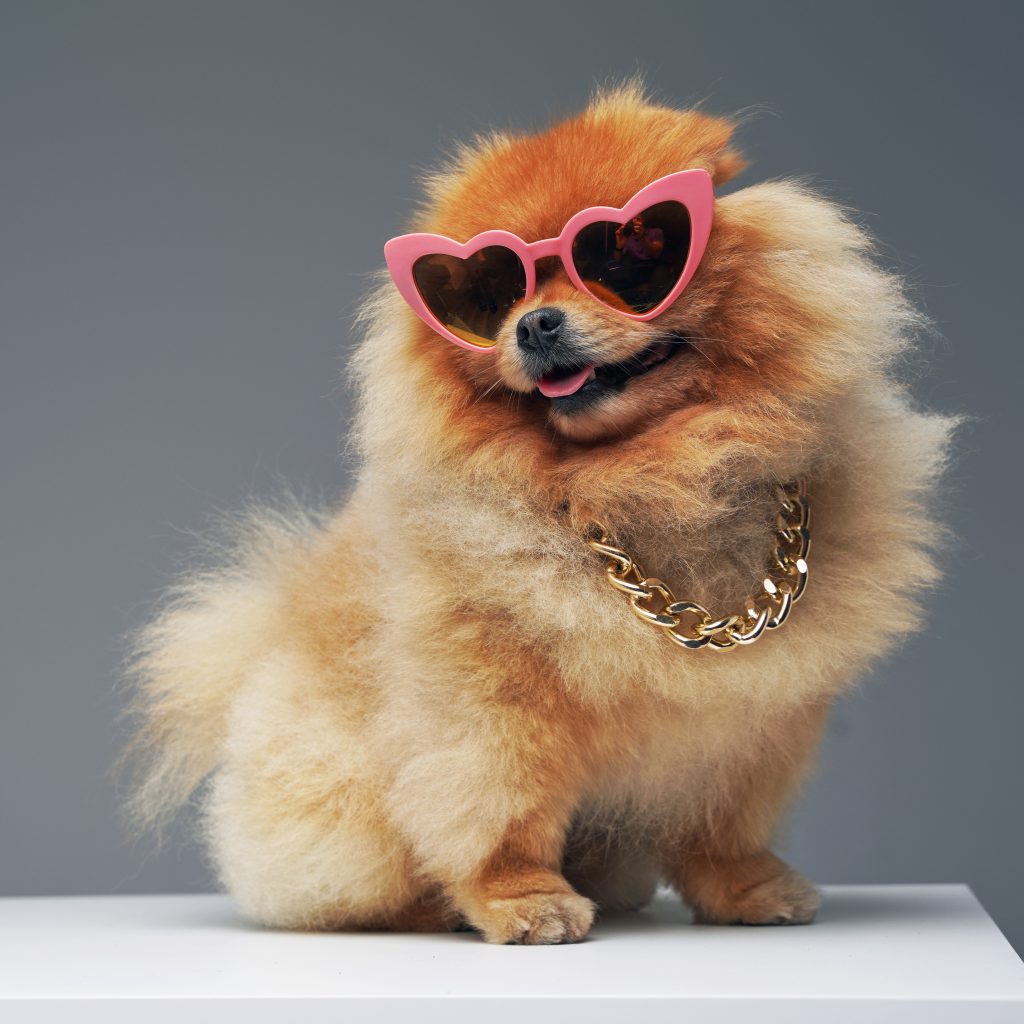Adobestock 461328839